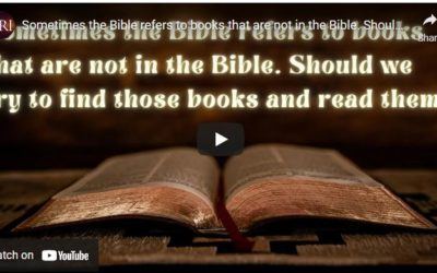Sometimes the Bible refers to books that are not in the Bible. Should we try to read them?