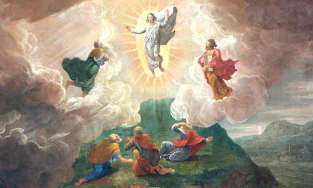 Q&A: The Transfiguration, Animal Sacrifices, and Witnessing to Jehovah’s Witnesses