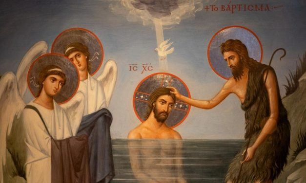 Q&A: Jesus’ Baptism, Evolution, and New Bodies in Heaven