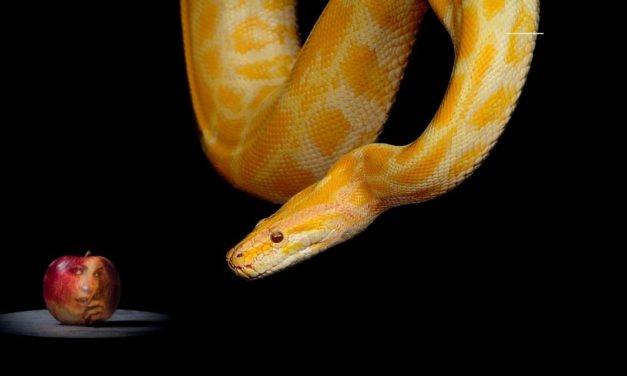 Q&A: The Serpent, Why Jesus Wept, and the Age of the Earth
