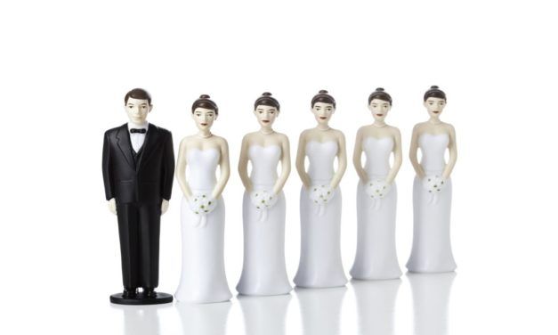 Q&A: The False Prophet, Polygamy, and Video Games