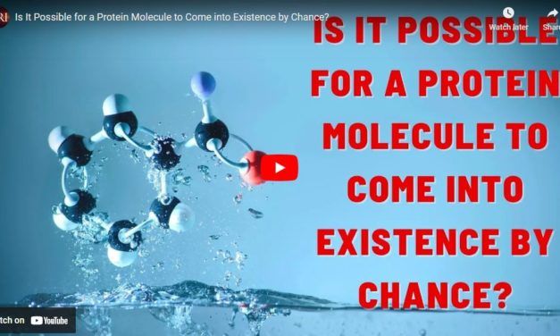 Is It Possible for a Protein Molecule to Come into Existence by Chance?