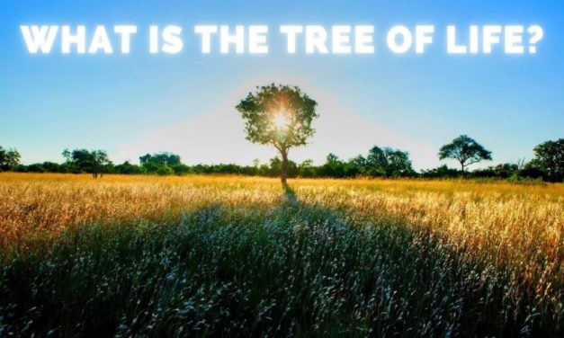 What Is the Tree of Life?