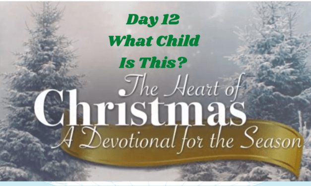 The Heart of Christmas – Devotional – Day 12