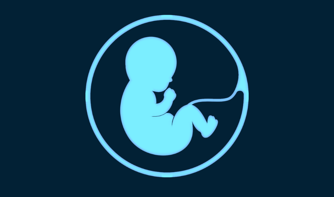 What is Abortion?