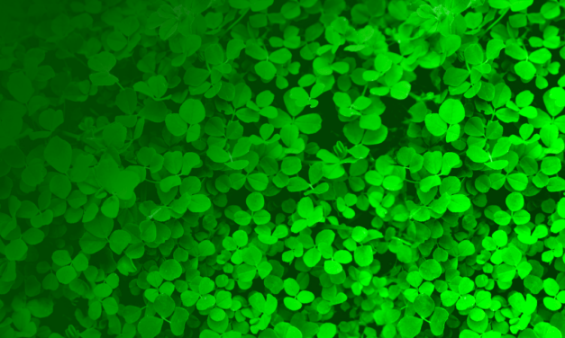 St. Patrick’s Day, and Q&A