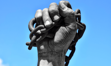 Q&A: The Flood, Finishing the Race, and Slavery