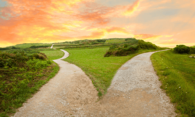 Godly Living and Sound Doctrine, and Q&A