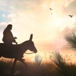 How Many Asses Did Jesus Ride into Jerusalem?