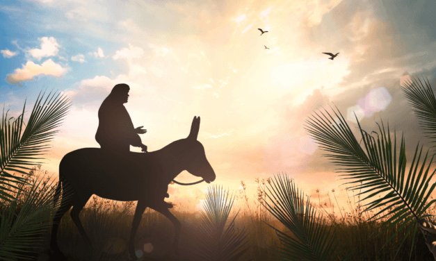 How many asses did Jesus ride into Jerusalem?