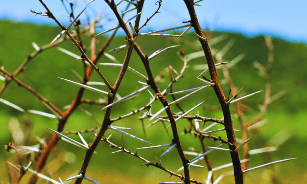 Q&A: Thorn in the Flesh, Exorcism, and Pascal’s Wager