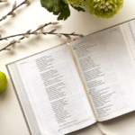 Best of BAM Q&A: Meditating on the Word, Heaven, and God’s Anger Towards Moses