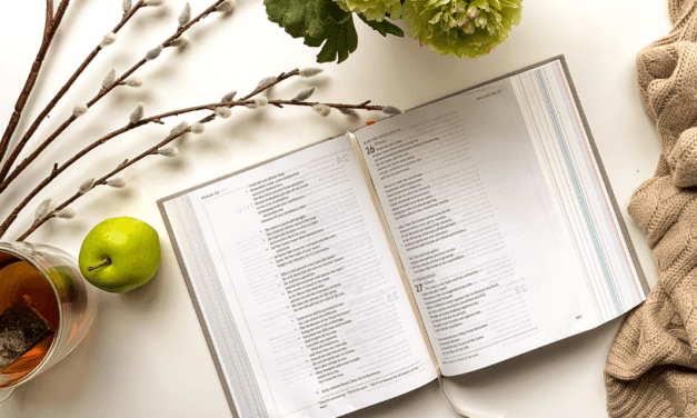 Best of BAM Q&A: Meditating on the Word, Heaven, and God’s Anger Towards Moses