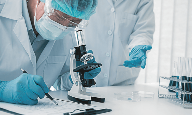 Should Christians Support Bans on Embryonic Stem Cell Research?