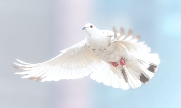 Q&A: The Fourth Commandment, Receiving the Holy Spirit, and Modern Apostles