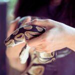 Q&A: Theistic Evolution, the Sinner’s Prayer, and Snake Handling