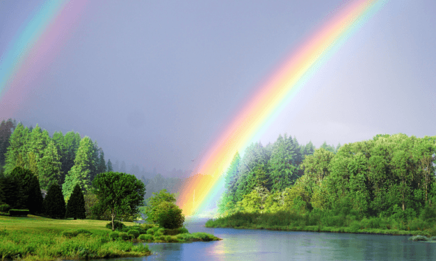 Q&A: The Flood, Mediums, and Loving Ourselves