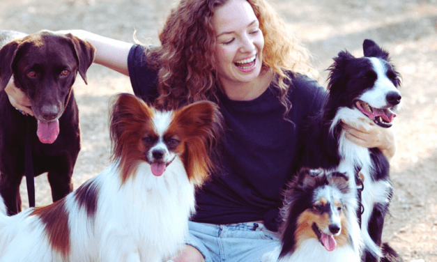 Q&A: Israel, Lazarus, and Pets in Heaven