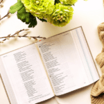 What is the L-E-G-A-C-Y Bible Reading Plan?