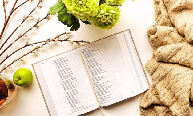 What is the L-E-G-A-C-Y Bible Reading Plan?