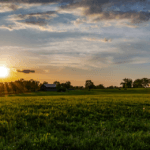 How to Love a Neighbor in the Anthropocene:  Christian Faithfulness Via the Unsettling Agrarianism of Wendell Berry