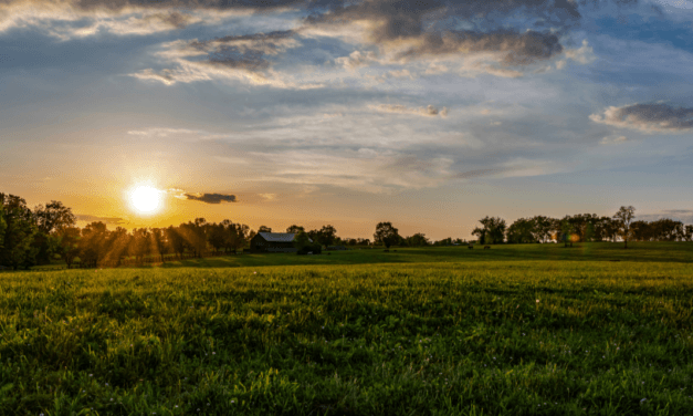 Wendell Berry: How to Love a Neighbor in the Anthropocene:  Christian Faithfulness Via the Unsettling Agrarianism