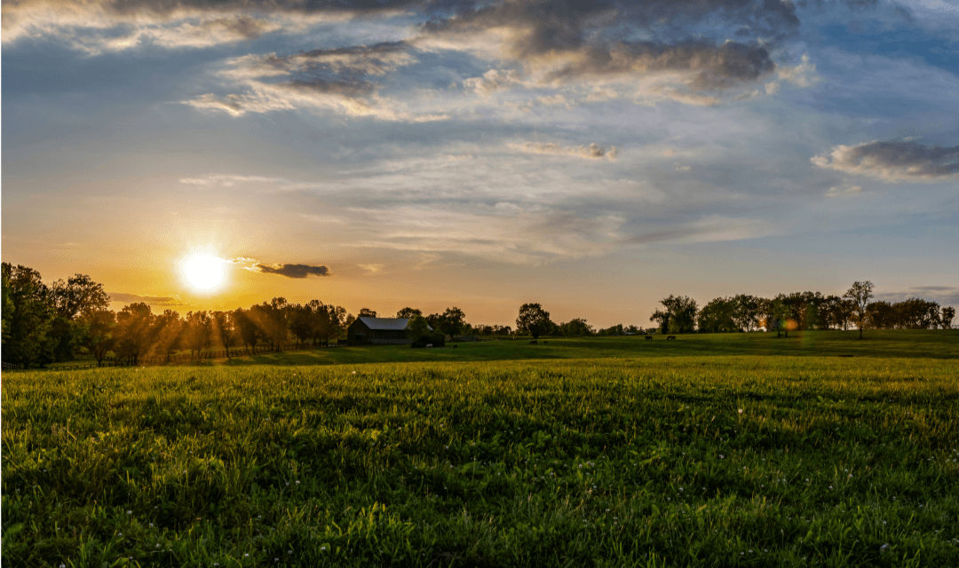 Wendell Berry: How to Love a Neighbor in the Anthropocene:  Christian Faithfulness Via the Unsettling Agrarianism