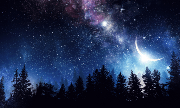 Revealing the Mind Behind the Universe with Stephen Meyer – Part 4