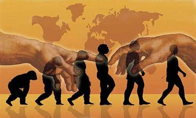 Neither Human Evolution nor Theistic Evolution