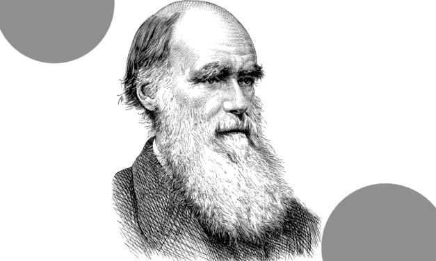 How Serious Are the Consequences of Believing in Evolution?