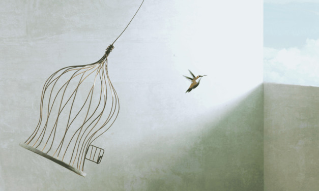 Q&A: Ezekiel, Free Will, and Peter’s Denial of Christ