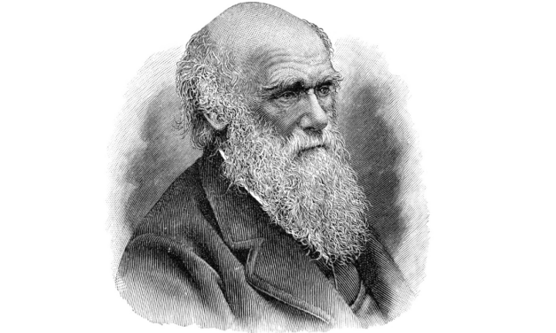 The Contradiction of Theistic Evolution, and Q&A