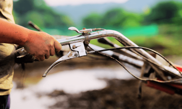Q&A: Putting Your Hand to the Plow, Relationships in Heaven, and Job