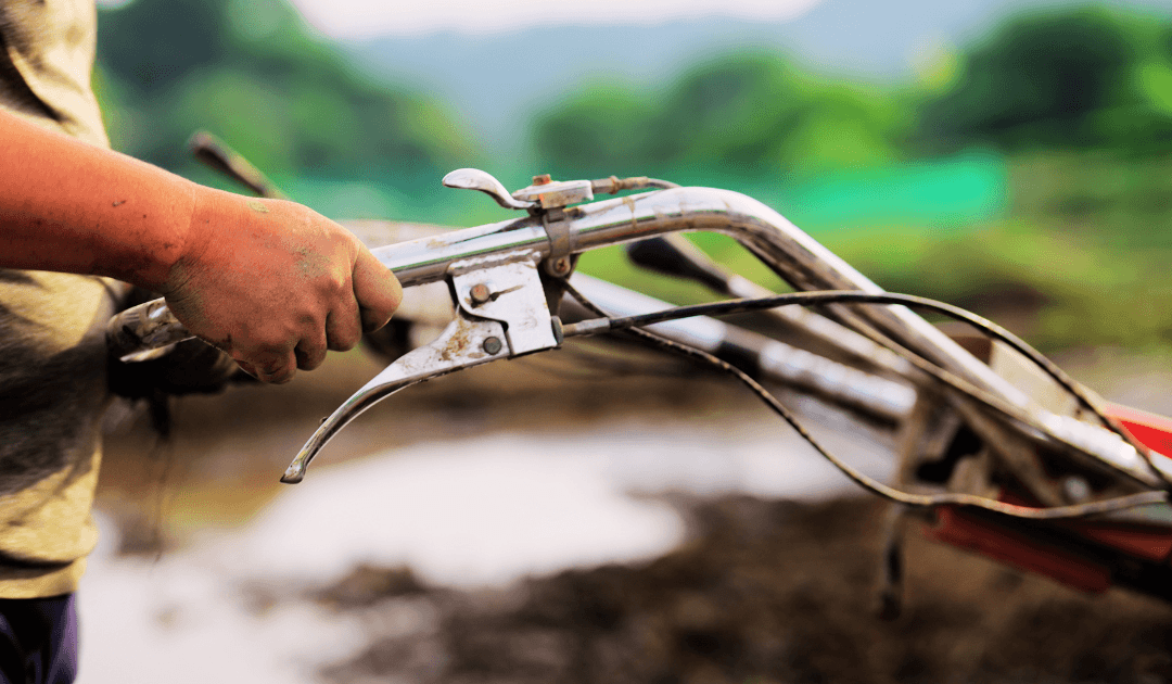 Q&A: Putting Your Hand to the Plow, Relationships in Heaven, and Job