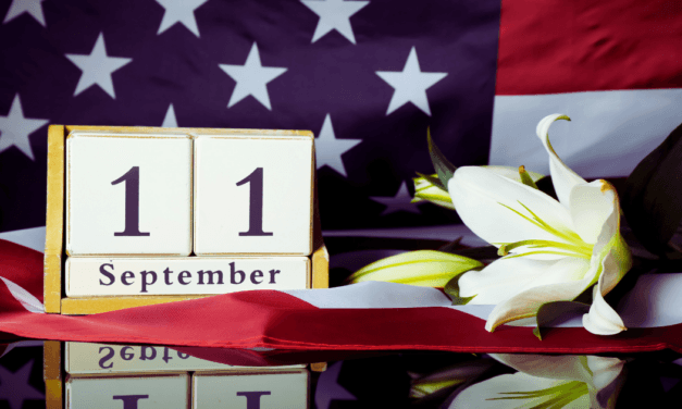 Something To Ponder on the 23rd Anniversary of 9/11