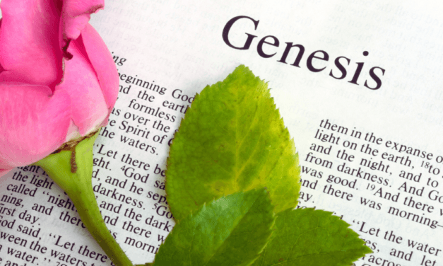 The Genius of Genesis, and Q&A