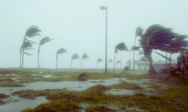 Best of BAM Q&A: Weather Events, Age of the Earth, and the Word of God