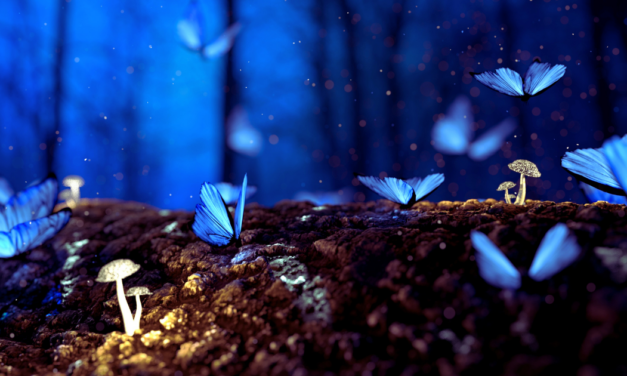 The Two Witnesses, and Q&A