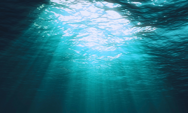 Q&A: Little Gods, Creation of Water, and the Mormon Jesus