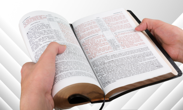 Mining the Bible for All Its Wealth – Part 2