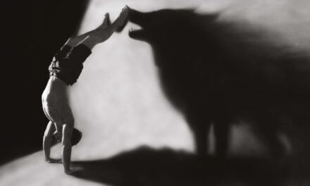 Dances with Wolves: When ‘Woke’ Predators Invade the Sheep Pen