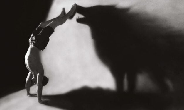 Dances with Wolves: When ‘Woke’ Predators Invade the Sheep Pen