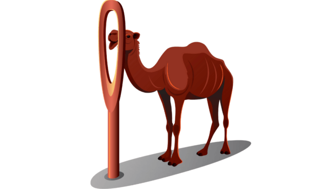 Best of BAM: Theistic Evolution: The Worst of All Possibilities, and Q&A