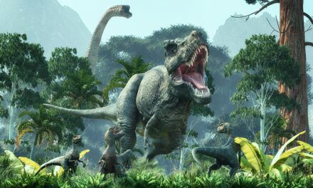 Q&A: Dinosaurs, Discerning God’s Voice, and the Age of the Earth