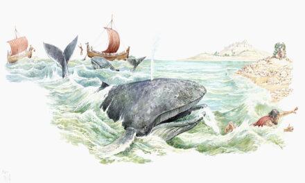 Episode 452: Has Science Swallowed the Myth of Jonah’s Whale?