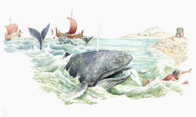 Has Science Swallowed the Myth of Jonah’s Whale?