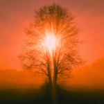 The Little Red Book of Wisdom with Mark DeMoss