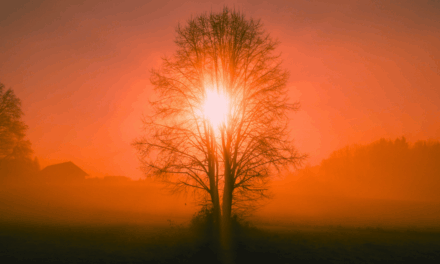 The Little Red Book of Wisdom with Mark DeMoss