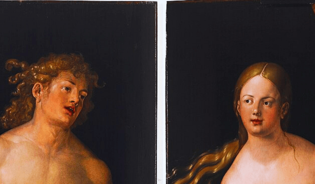 PMR 470 RV Complementarity Dignity, Difference, and Interdependence