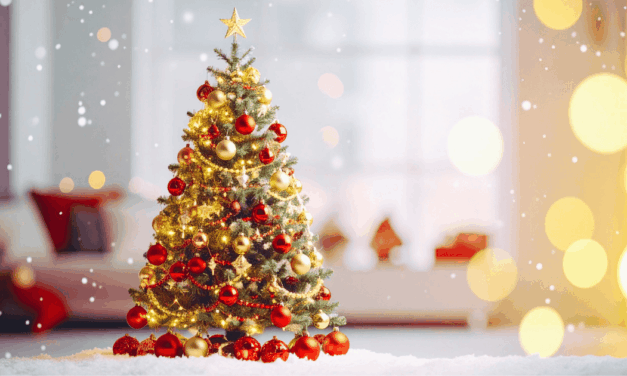 Q&A: Anger of God, Immortality, and Christmas Trees